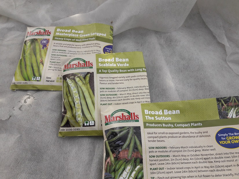Broad Bean seed packets for 2018