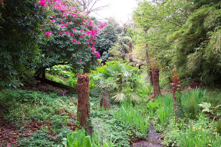 Heligan in May